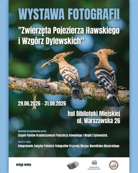Spotkaj dzikich mieszkańców Warmii i Mazur w naszej bibliotece